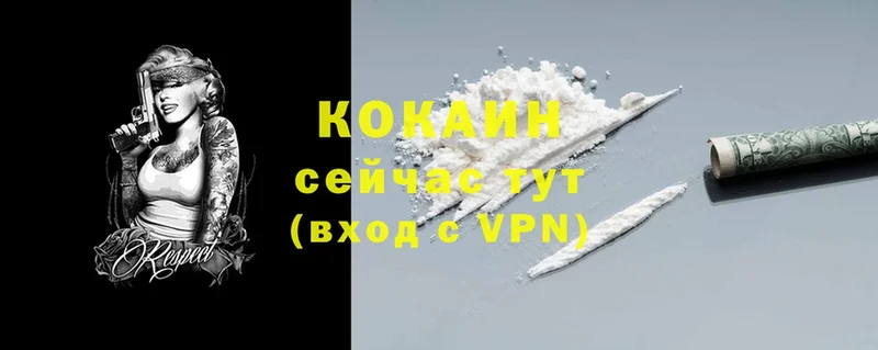 Cocaine Fish Scale  магазин продажи   Северодвинск 